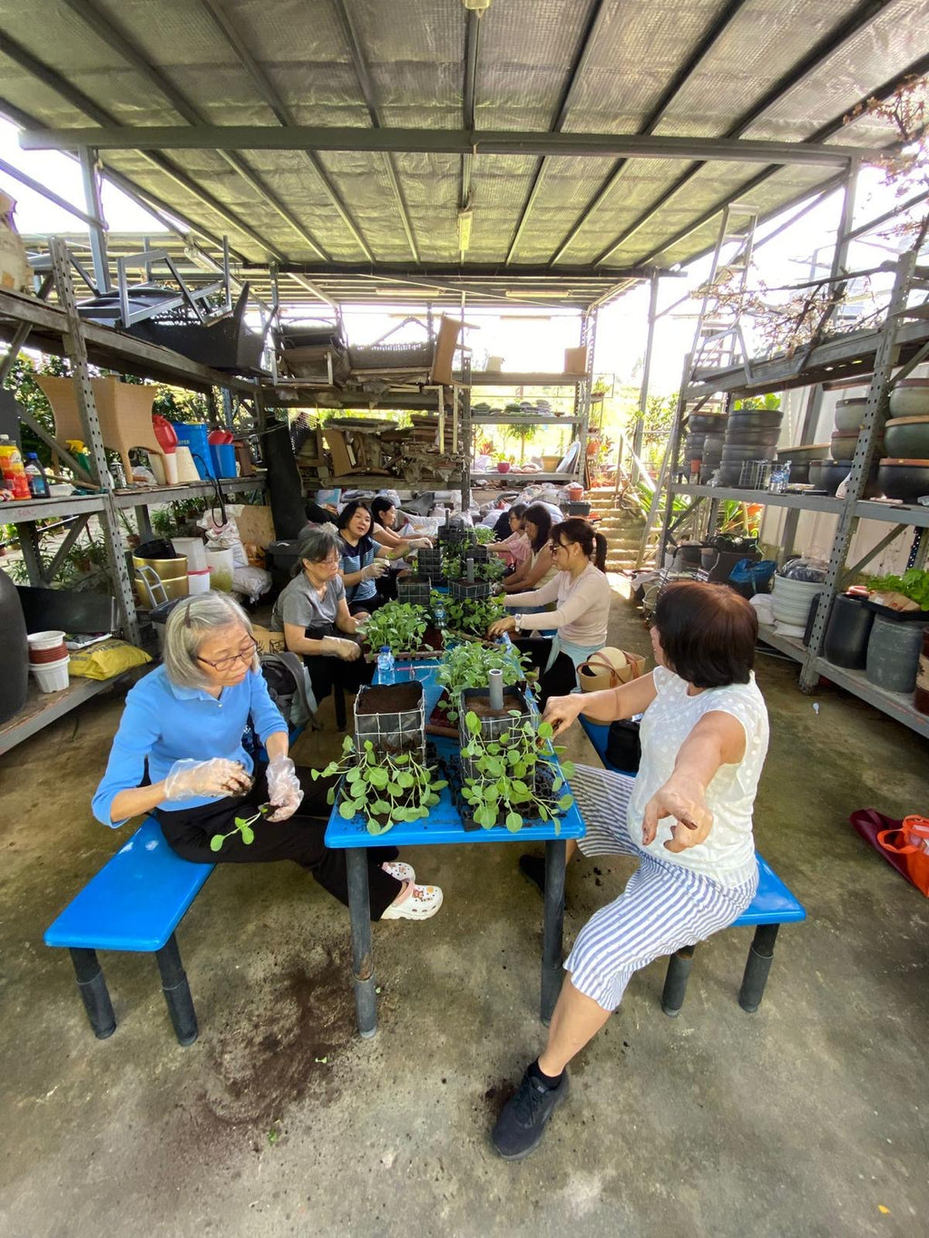 Urban Grower Workshop